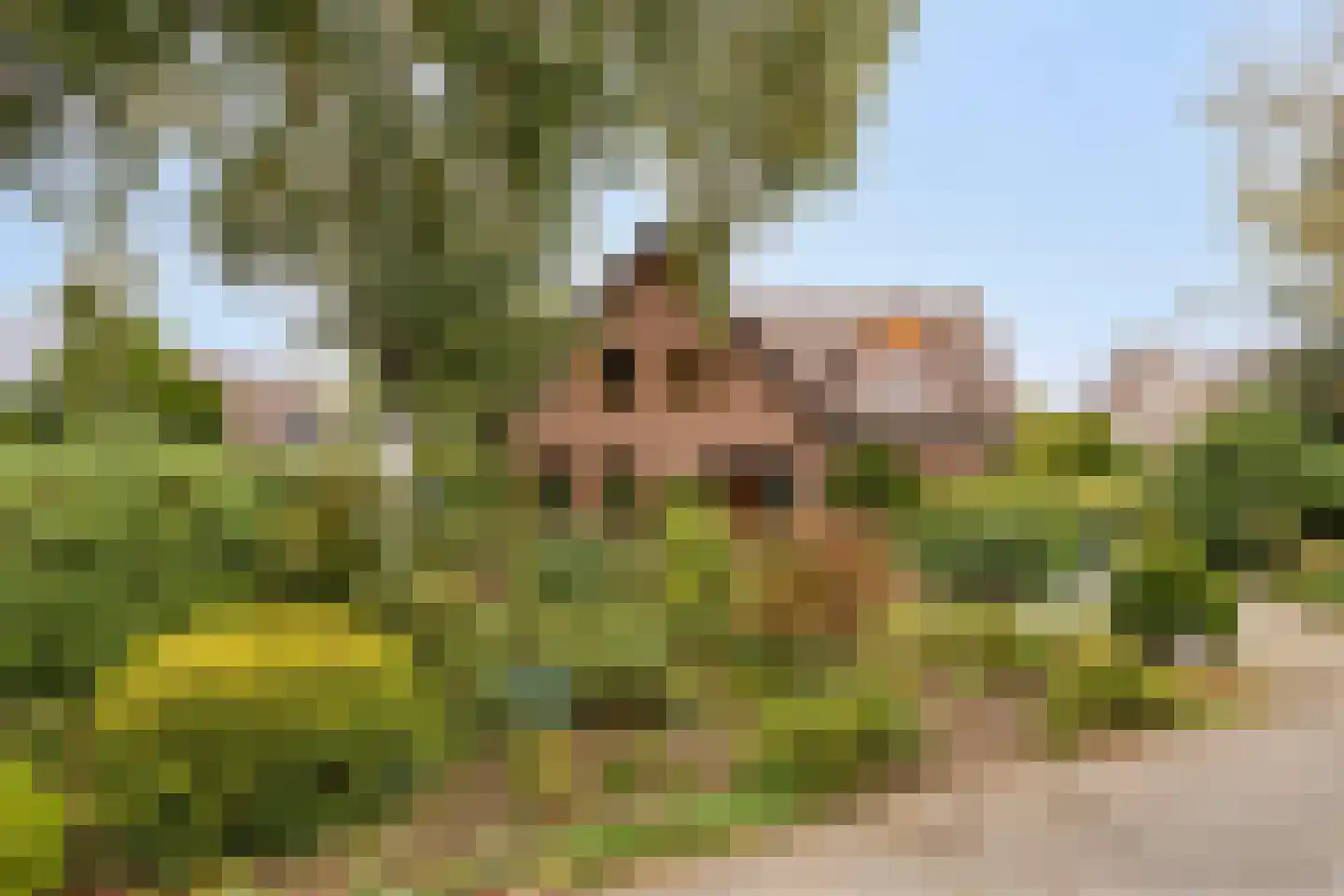 Ellerveld 6 Ell thumbnail 51