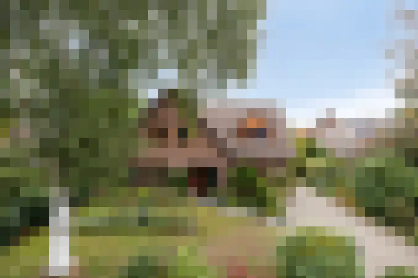 Ellerveld 6 Ell thumbnail 52