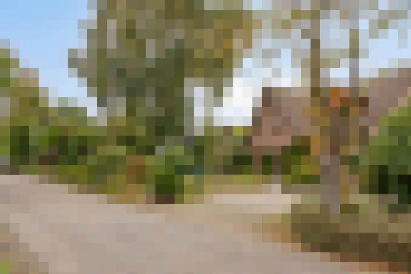 Ellerveld 6 Ell thumbnail 54