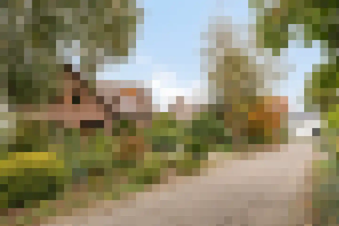 Ellerveld 6 Ell thumbnail 55