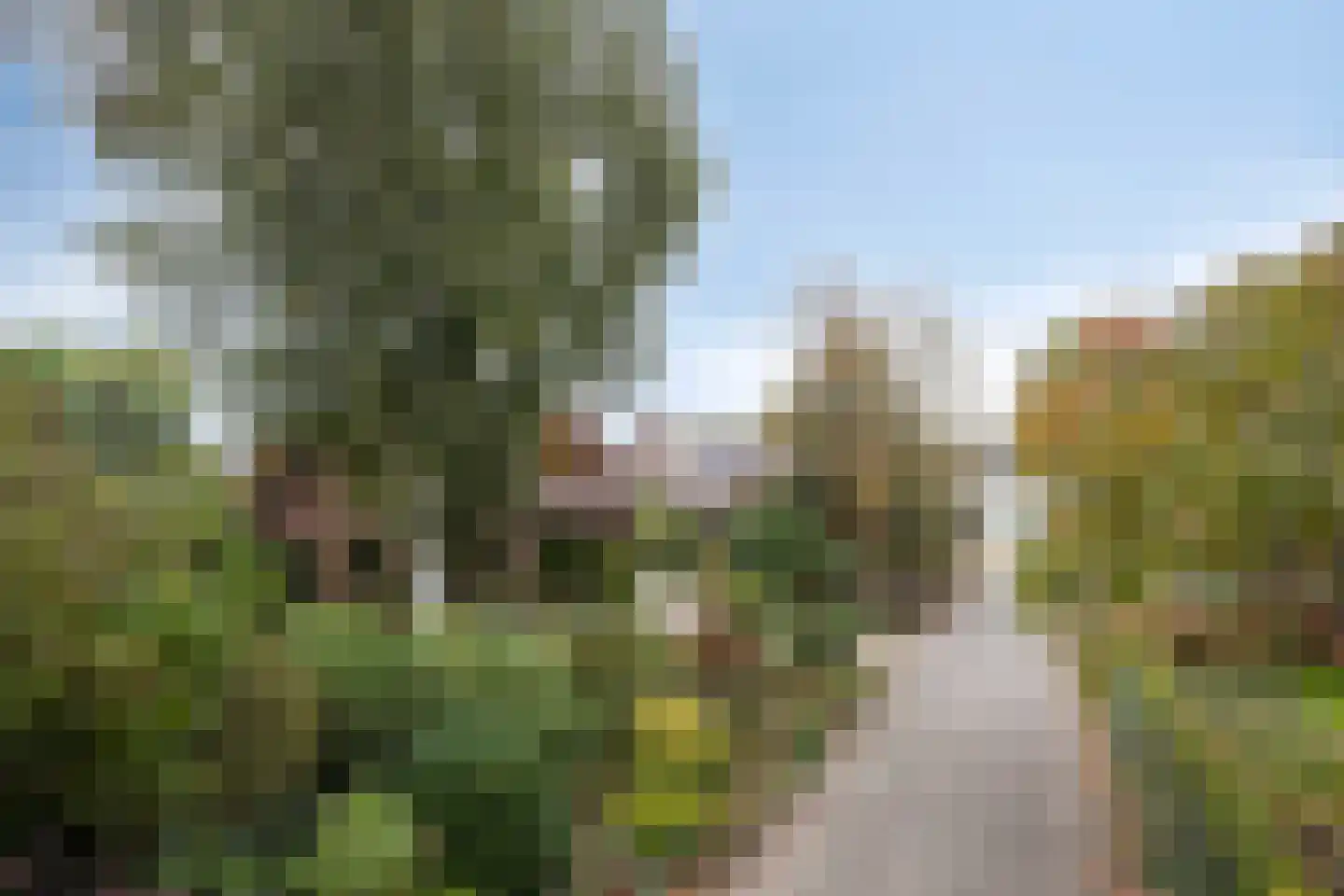 Ellerveld 6 Ell thumbnail 56