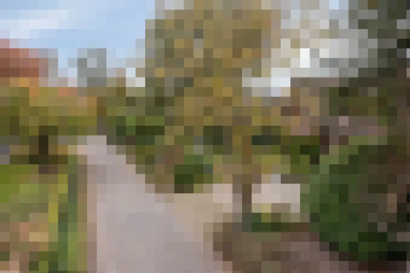 Ellerveld 6 Ell thumbnail 57