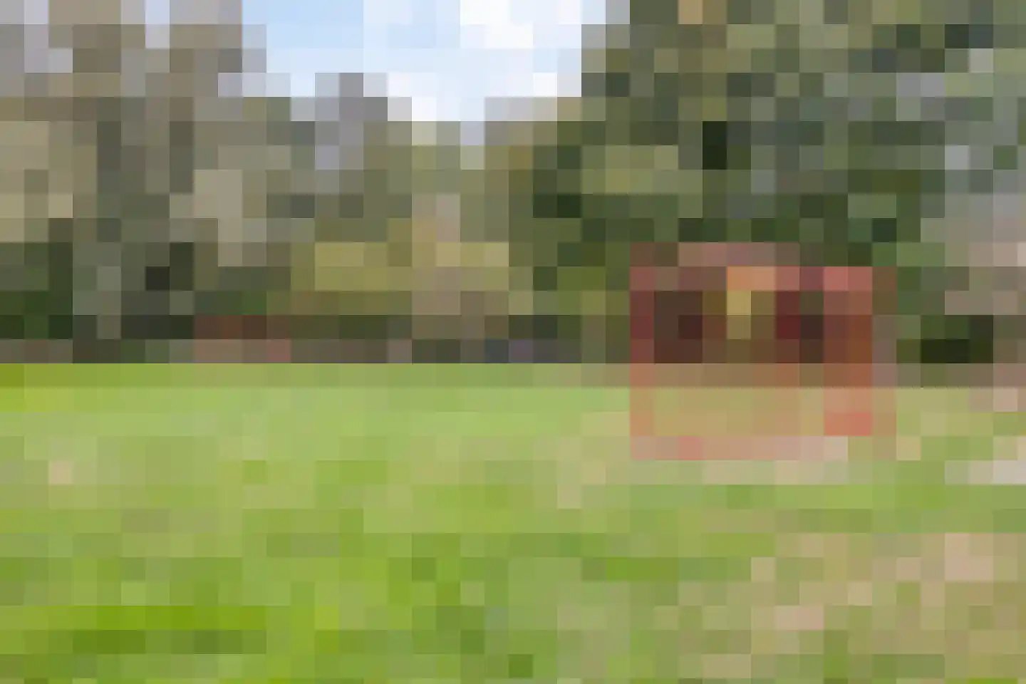 Ellerveld 6 Ell thumbnail 58