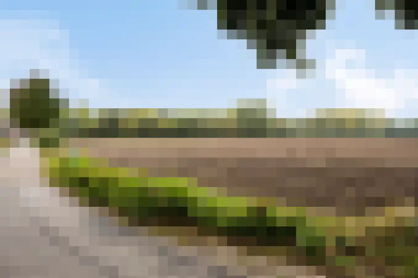 Ellerveld 6 Ell thumbnail 59
