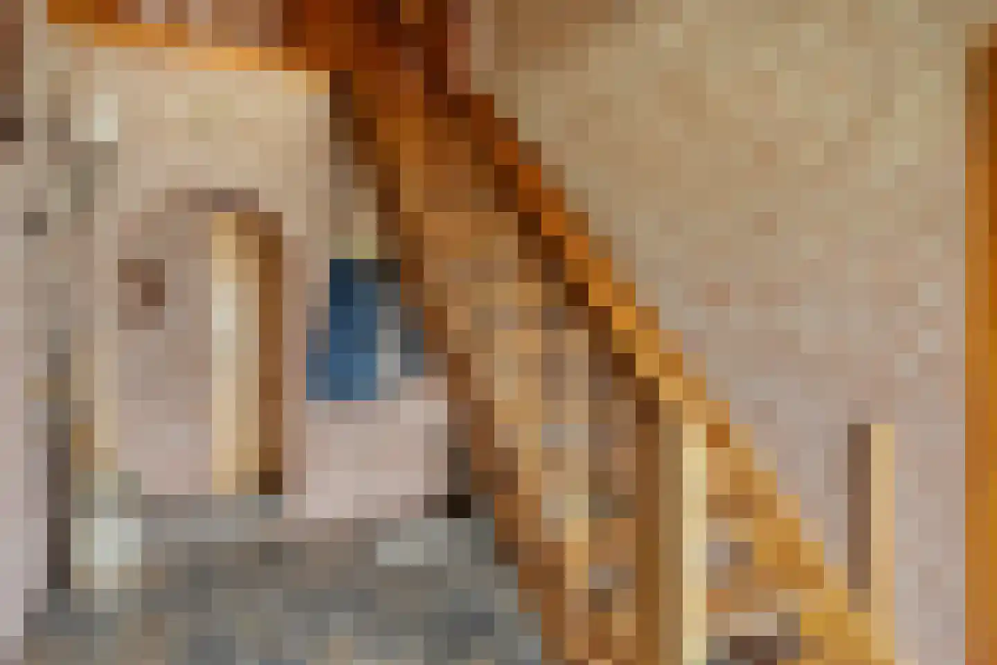 Ellerveld 6 Ell thumbnail 6