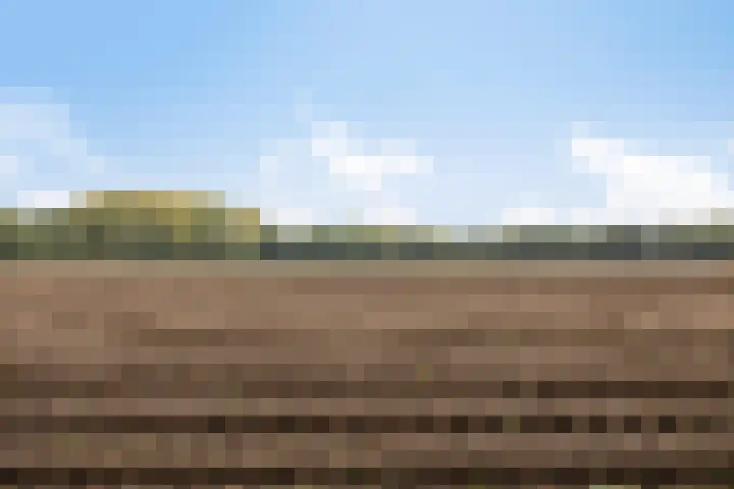 Ellerveld 6 Ell thumbnail 60