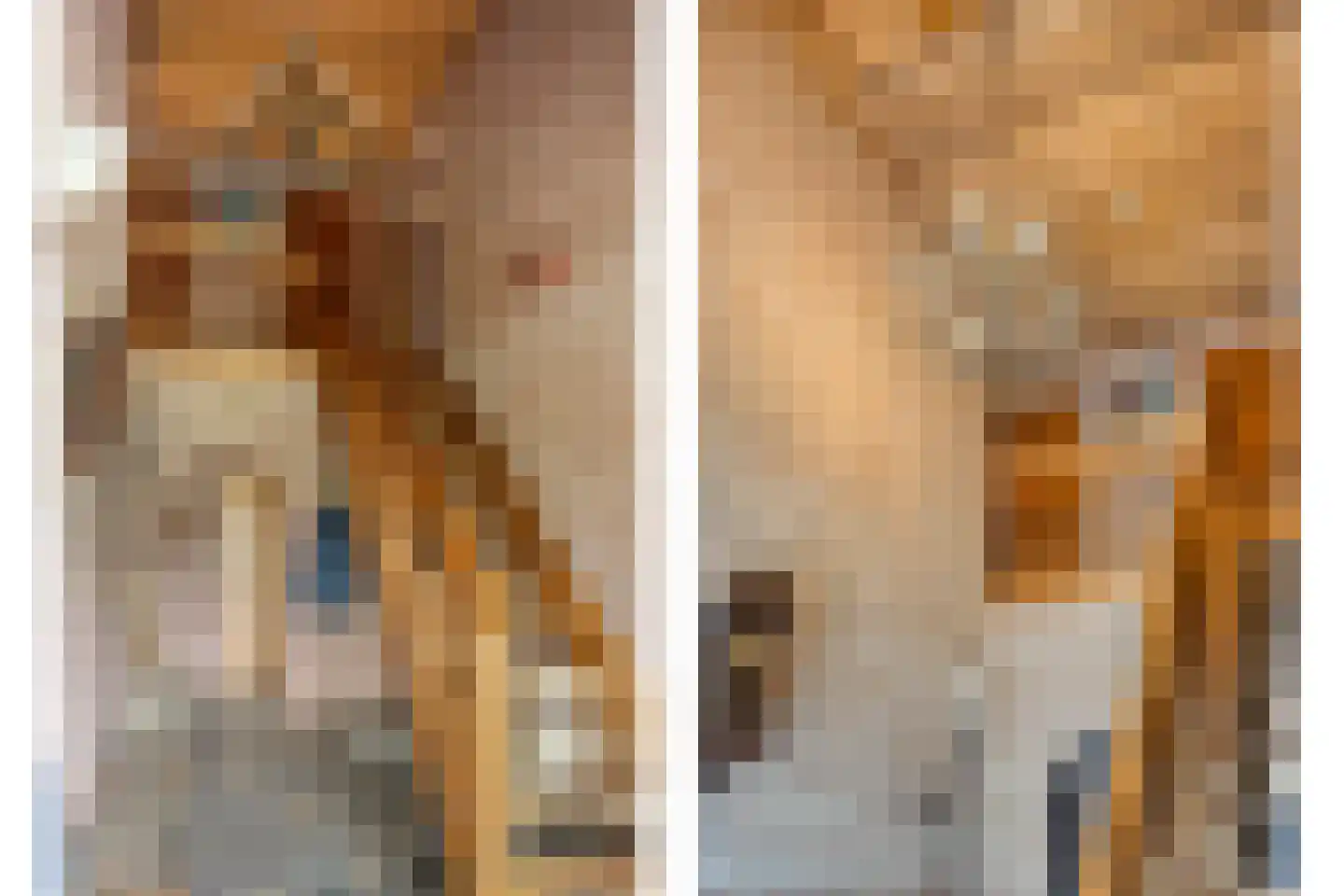Ellerveld 6 Ell thumbnail 7