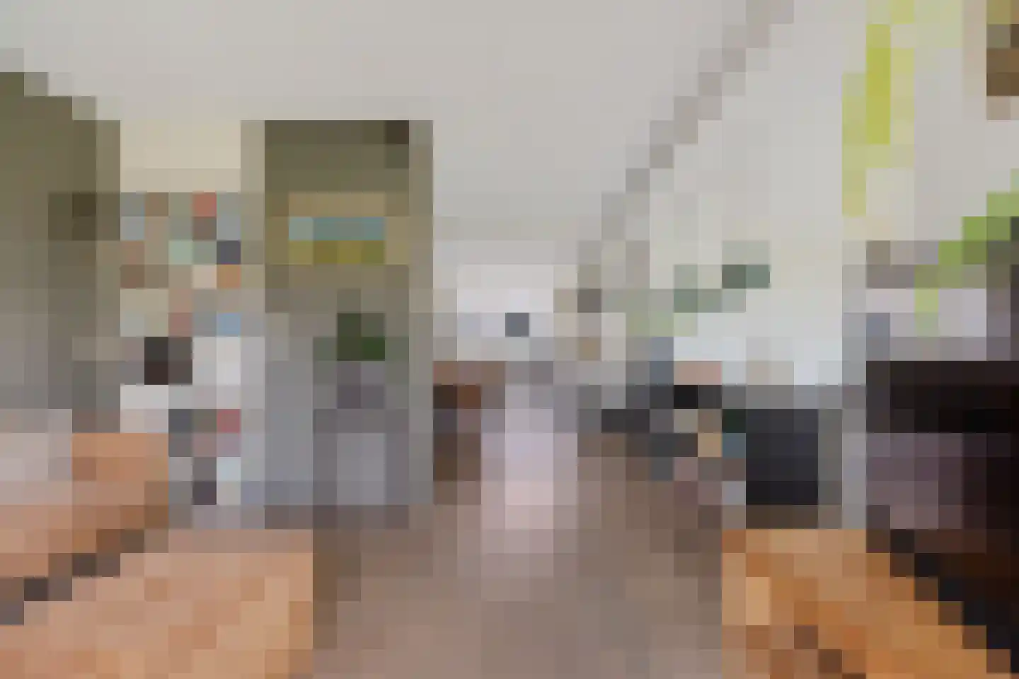 Ellerweg 23 Biddinghuizen thumbnail 15
