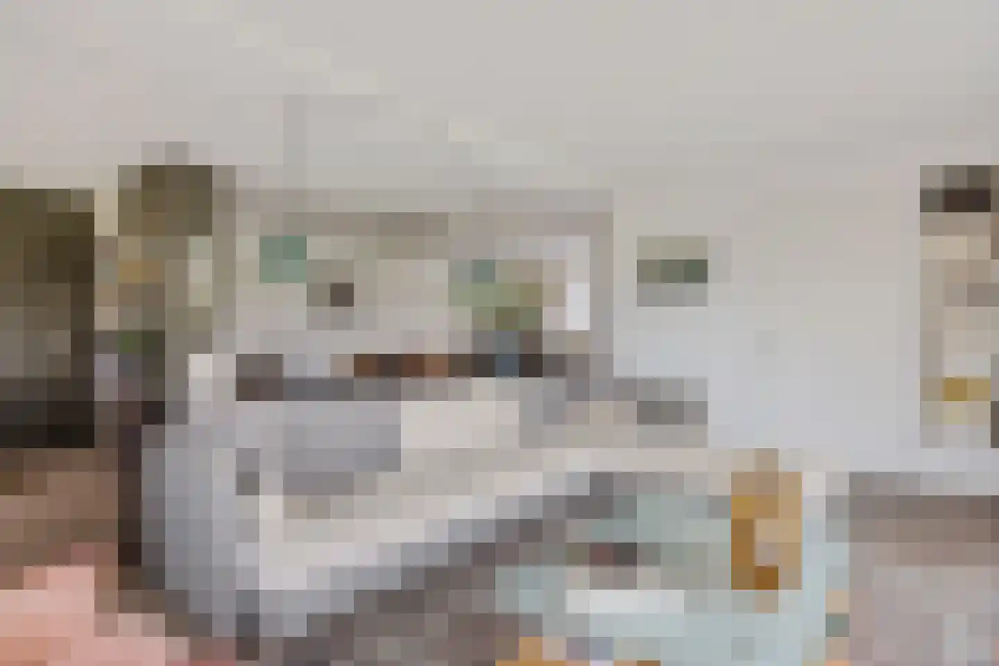 Ellerweg 23 Biddinghuizen thumbnail 17