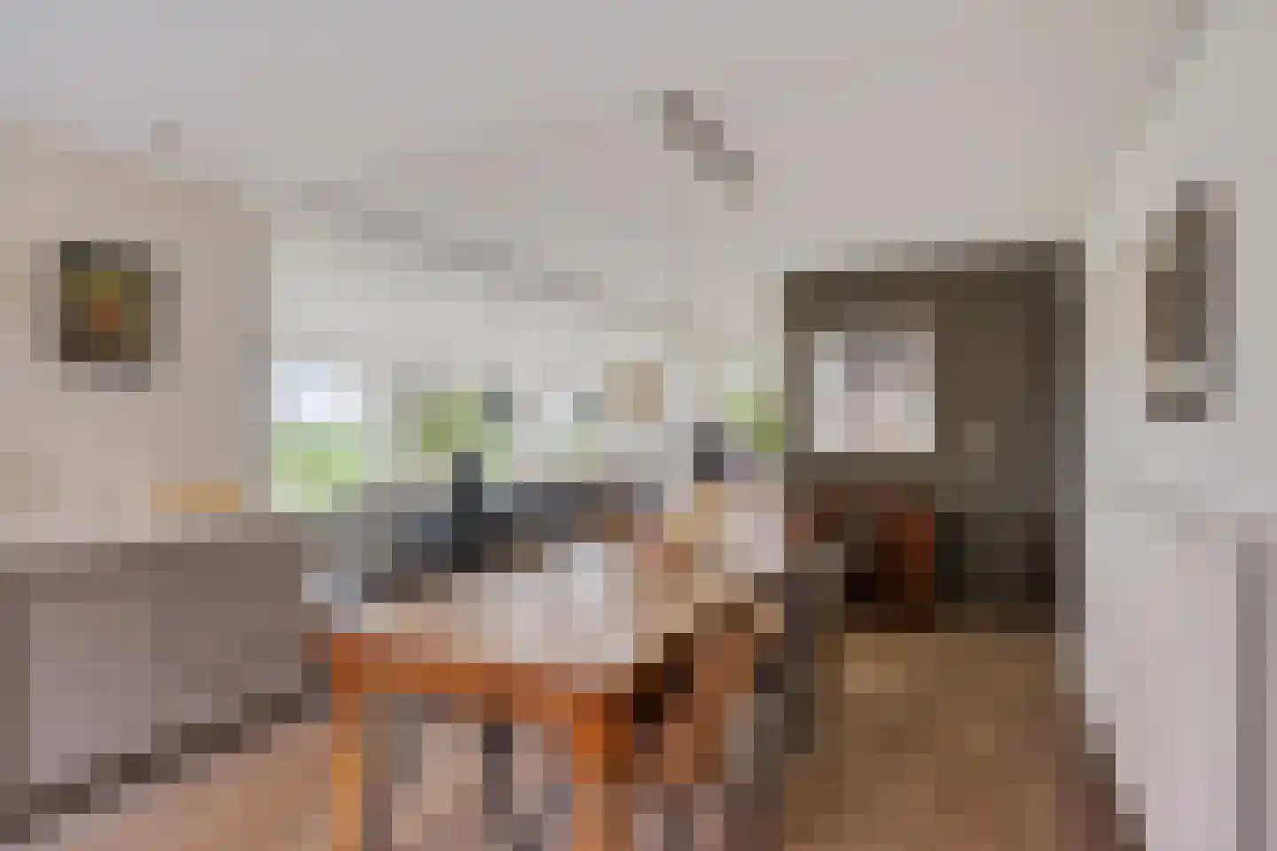 Ellerweg 23 Biddinghuizen thumbnail 20