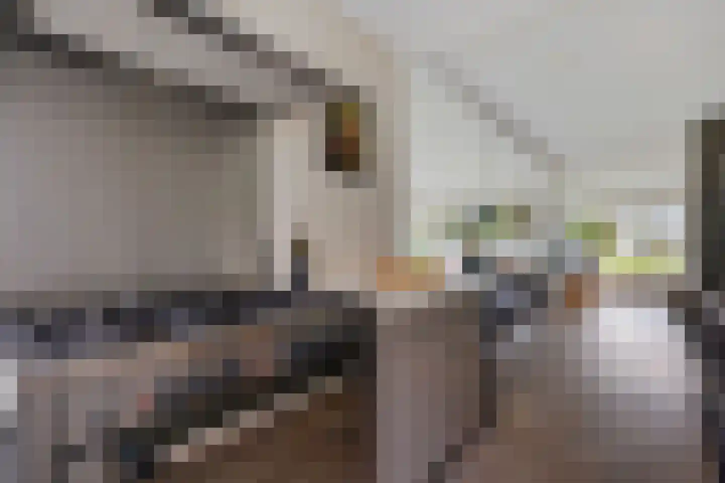 Ellerweg 23 Biddinghuizen thumbnail 22
