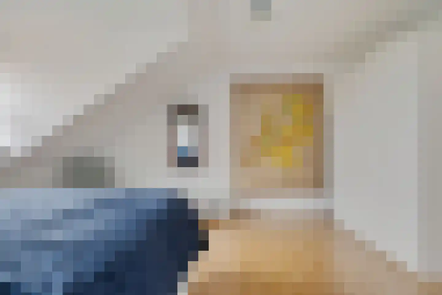 Ellerweg 23 Biddinghuizen thumbnail 36