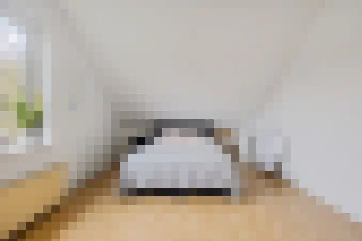 Ellerweg 23 Biddinghuizen thumbnail 37