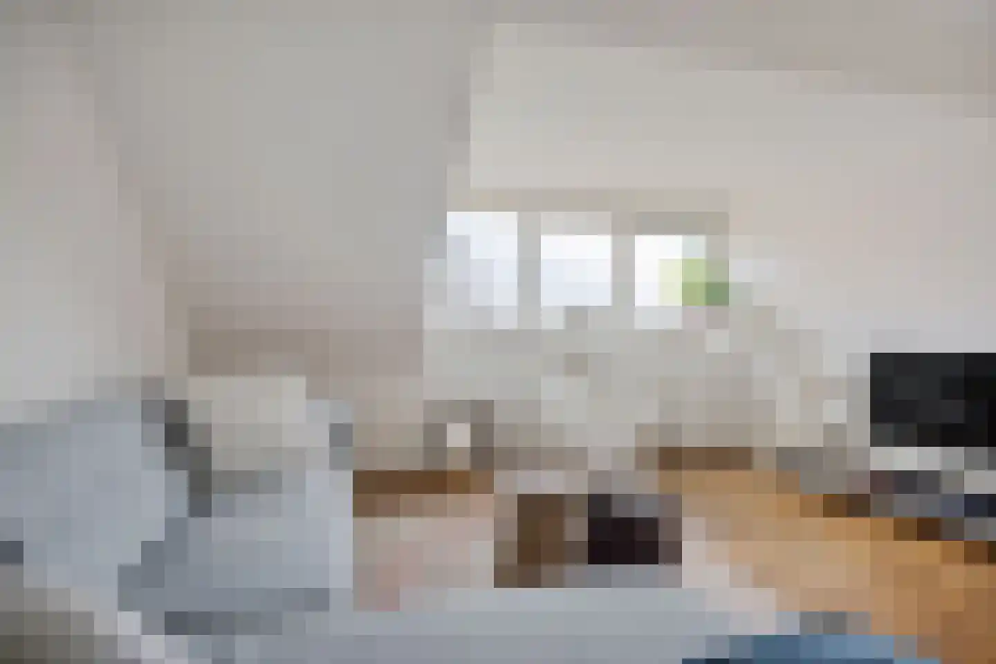 Ellerweg 23 Biddinghuizen thumbnail 40