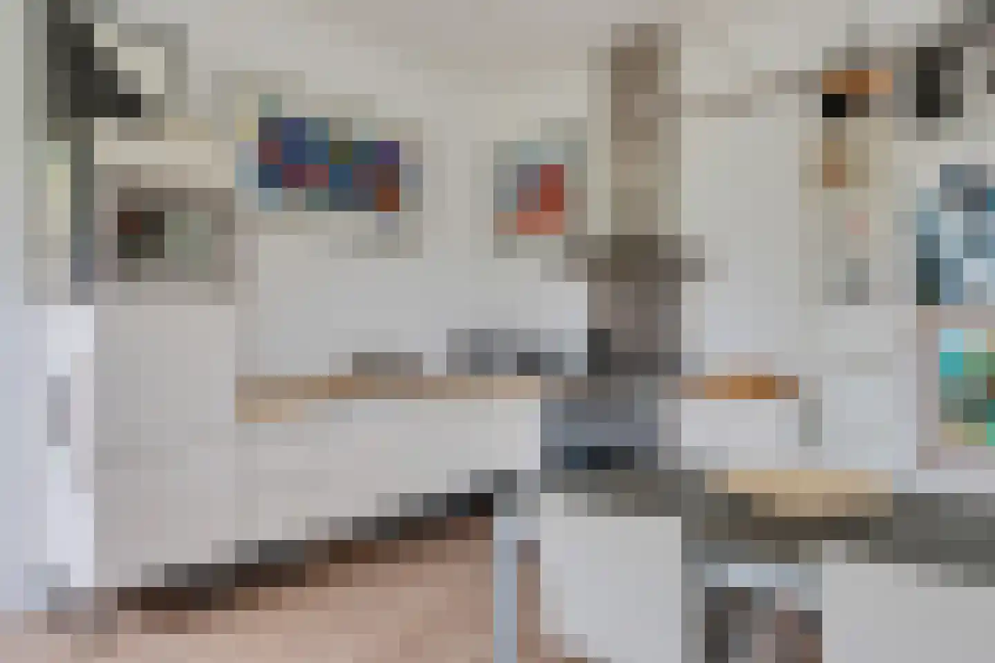 Ellerweg 23 Biddinghuizen thumbnail 51