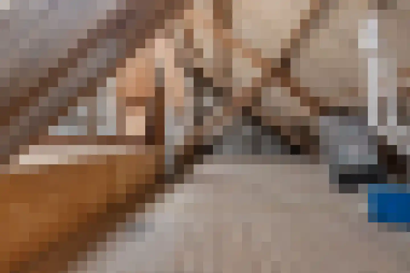Ellerweg 23 Biddinghuizen thumbnail 55