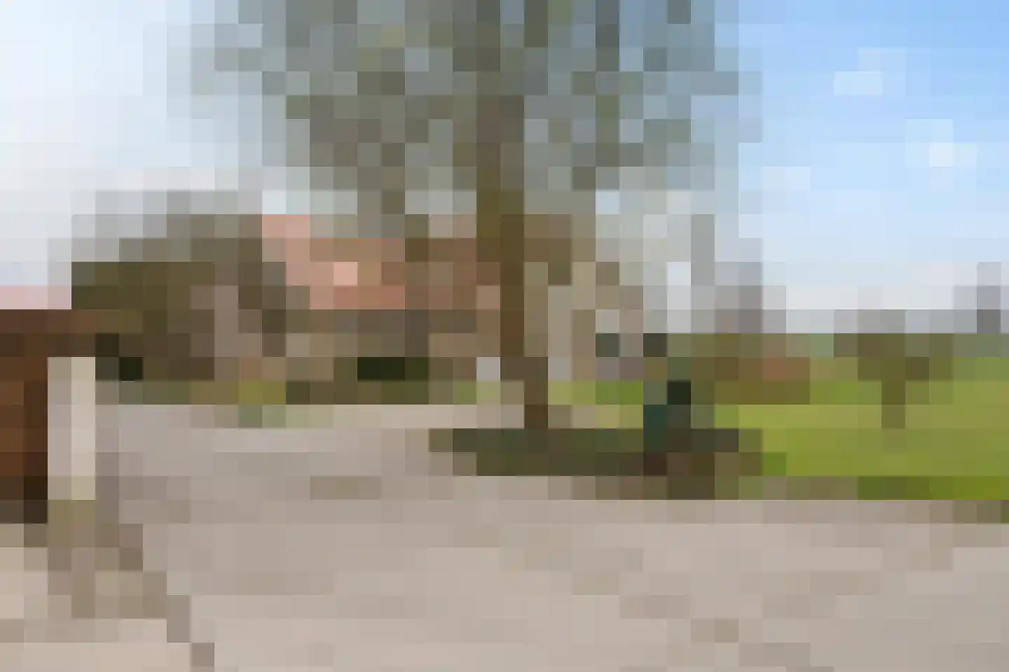 Ellerweg 23 Biddinghuizen thumbnail 6