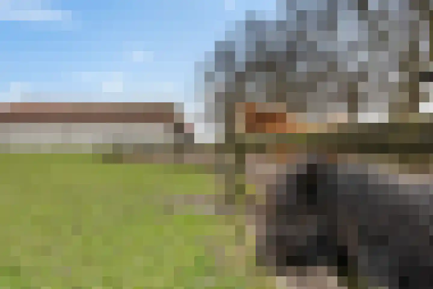Ellerweg 23 Biddinghuizen thumbnail 62