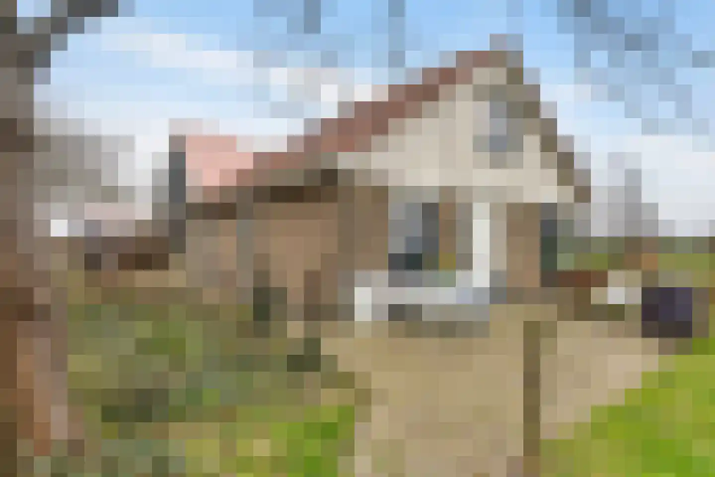 Ellerweg 23 Biddinghuizen thumbnail 66
