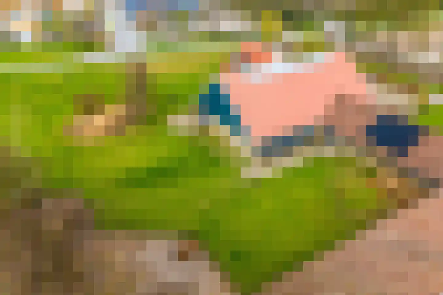 Ellerweg 23 Biddinghuizen thumbnail 69