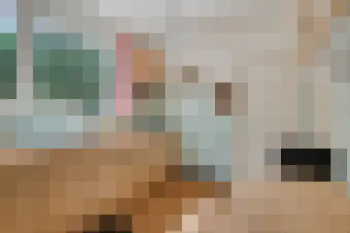 Ellestraat 1 Heikant thumbnail 16