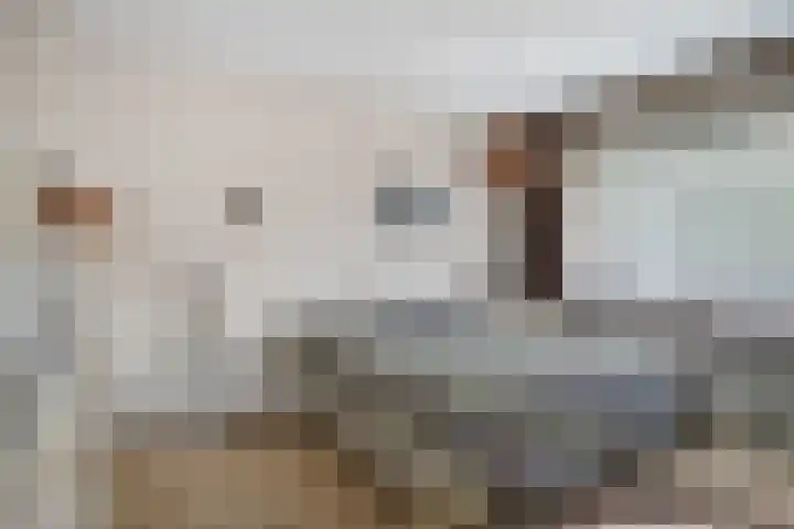 Ellestraat 1 Heikant thumbnail 19