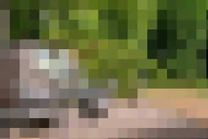 Ellestraat 1 Heikant thumbnail 24