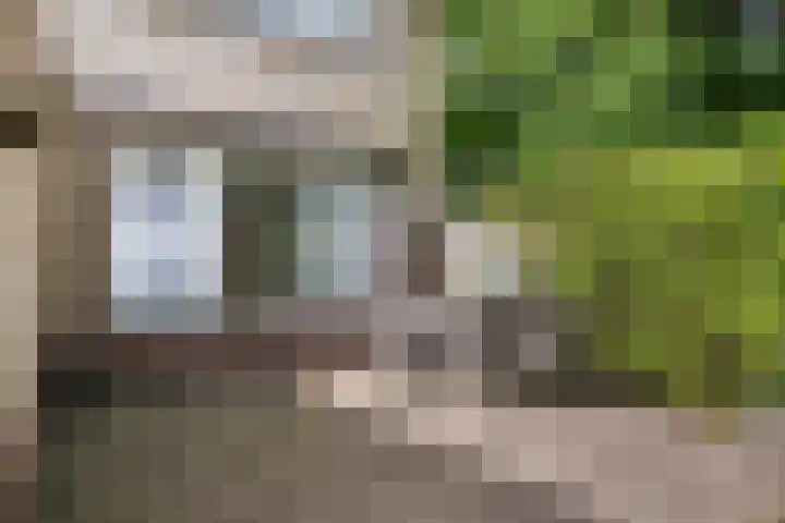 Ellestraat 1 Heikant thumbnail 25