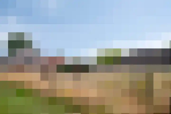 Ellestraat 1 Heikant thumbnail 28