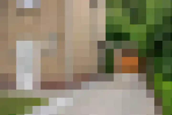Ellestraat 1 Heikant thumbnail 7