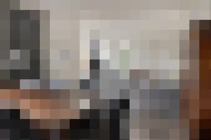 Ellestraat 41 Heikant thumbnail 13