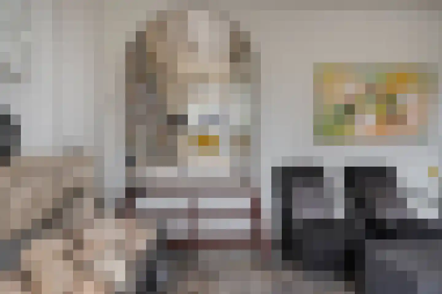Ellestraat 41 Heikant thumbnail 17