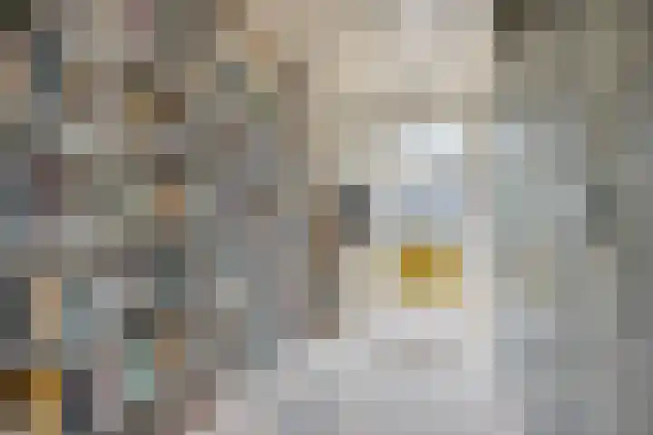 Ellestraat 41 Heikant thumbnail 18
