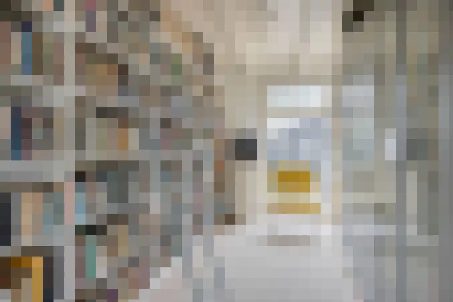 Ellestraat 41 Heikant thumbnail 18