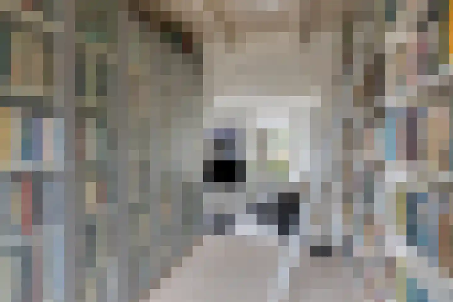 Ellestraat 41 Heikant thumbnail 19
