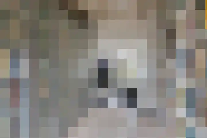 Ellestraat 41 Heikant thumbnail 19