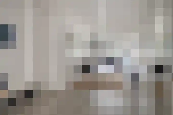 Ellestraat 41 Heikant thumbnail 21