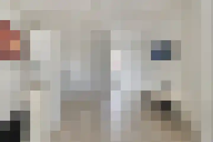Ellestraat 41 Heikant thumbnail 22