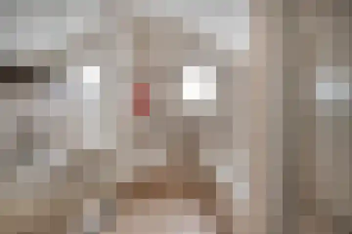 Ellestraat 41 Heikant thumbnail 30