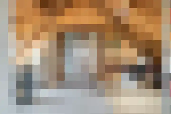 Ellestraat 41 Heikant thumbnail 36