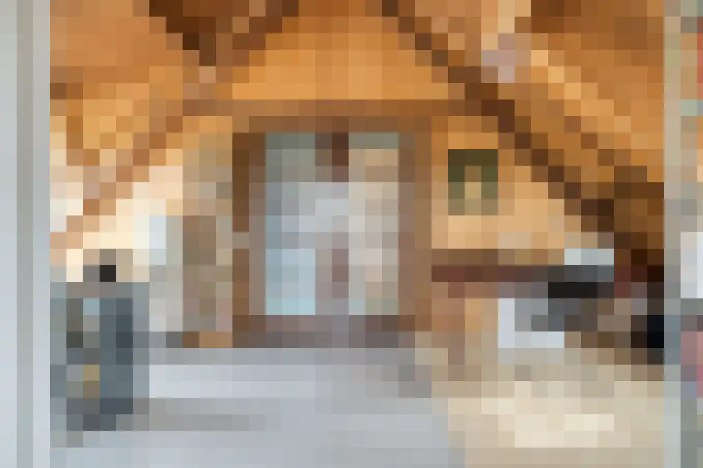 Ellestraat 41 Heikant thumbnail 36