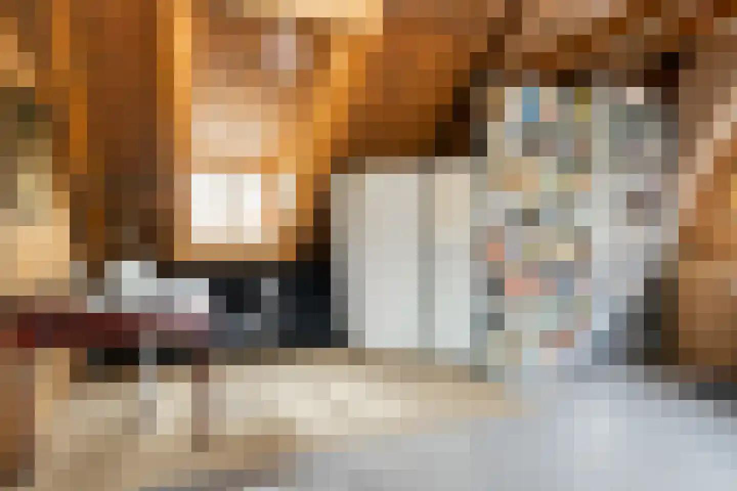Ellestraat 41 Heikant thumbnail 37