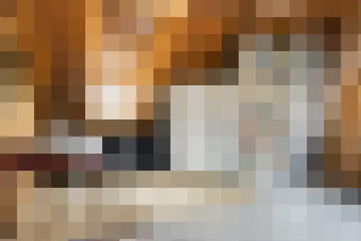Ellestraat 41 Heikant thumbnail 37