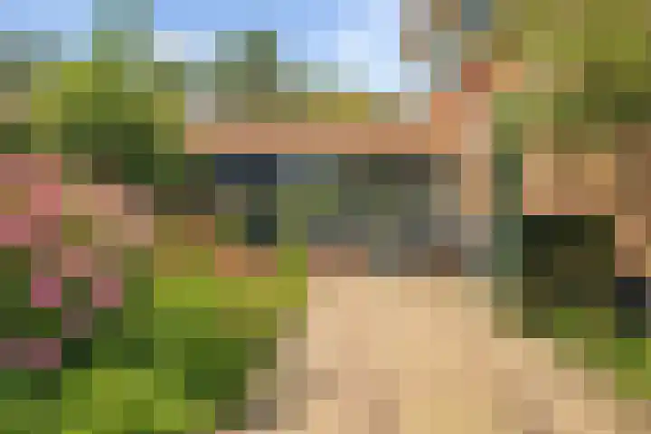 Ellestraat 41 Heikant thumbnail 4