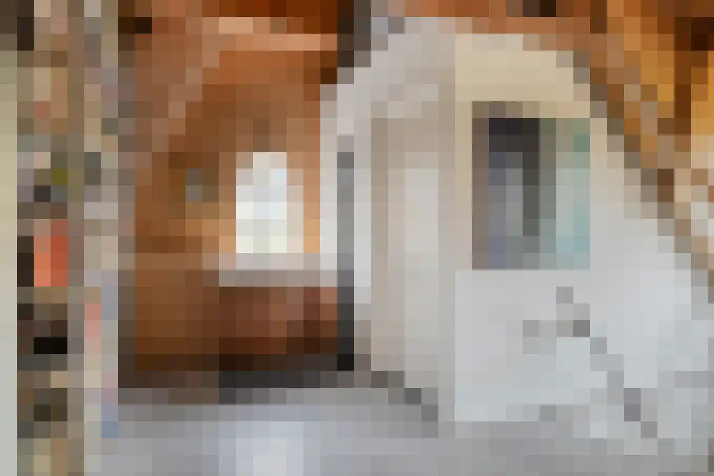 Ellestraat 41 Heikant thumbnail 41