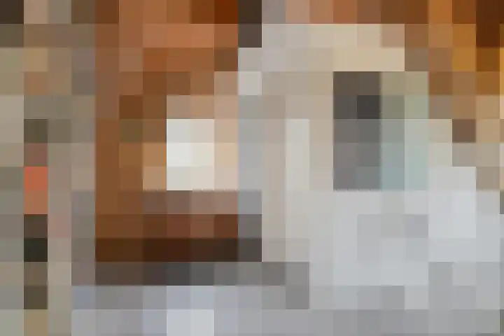 Ellestraat 41 Heikant thumbnail 41
