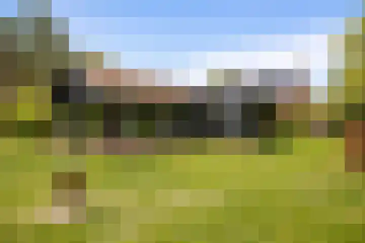 Ellestraat 41 Heikant thumbnail 45
