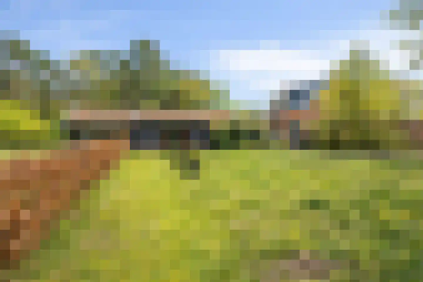 Ellestraat 41 Heikant thumbnail 46