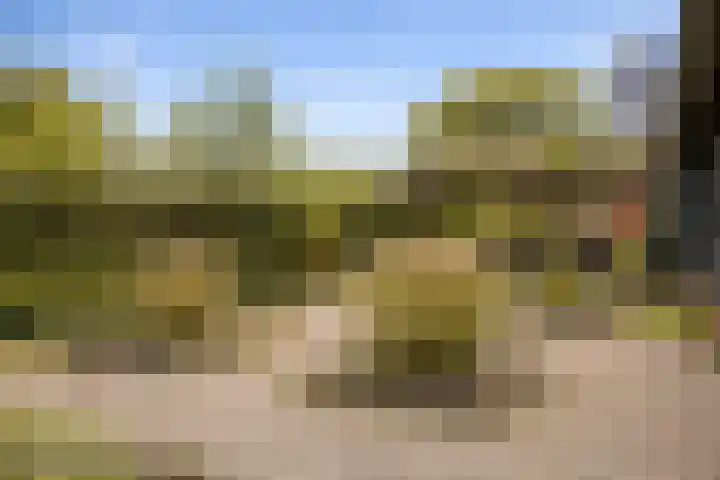 Ellestraat 41 Heikant thumbnail 47