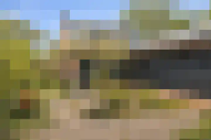 Ellestraat 41 Heikant thumbnail 48
